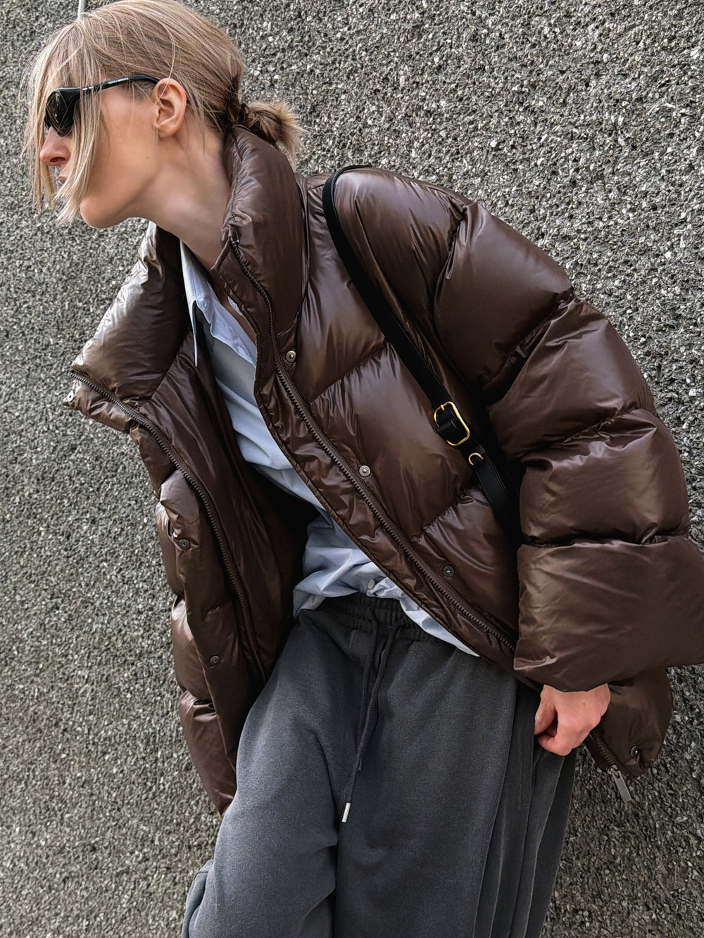 Fluffy Goose Down Brown