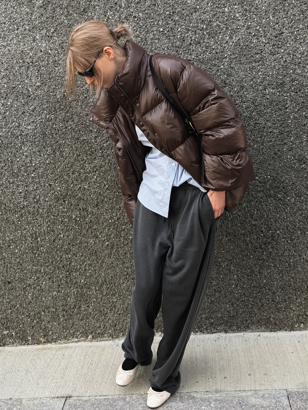 Fluffy Goose Down Brown