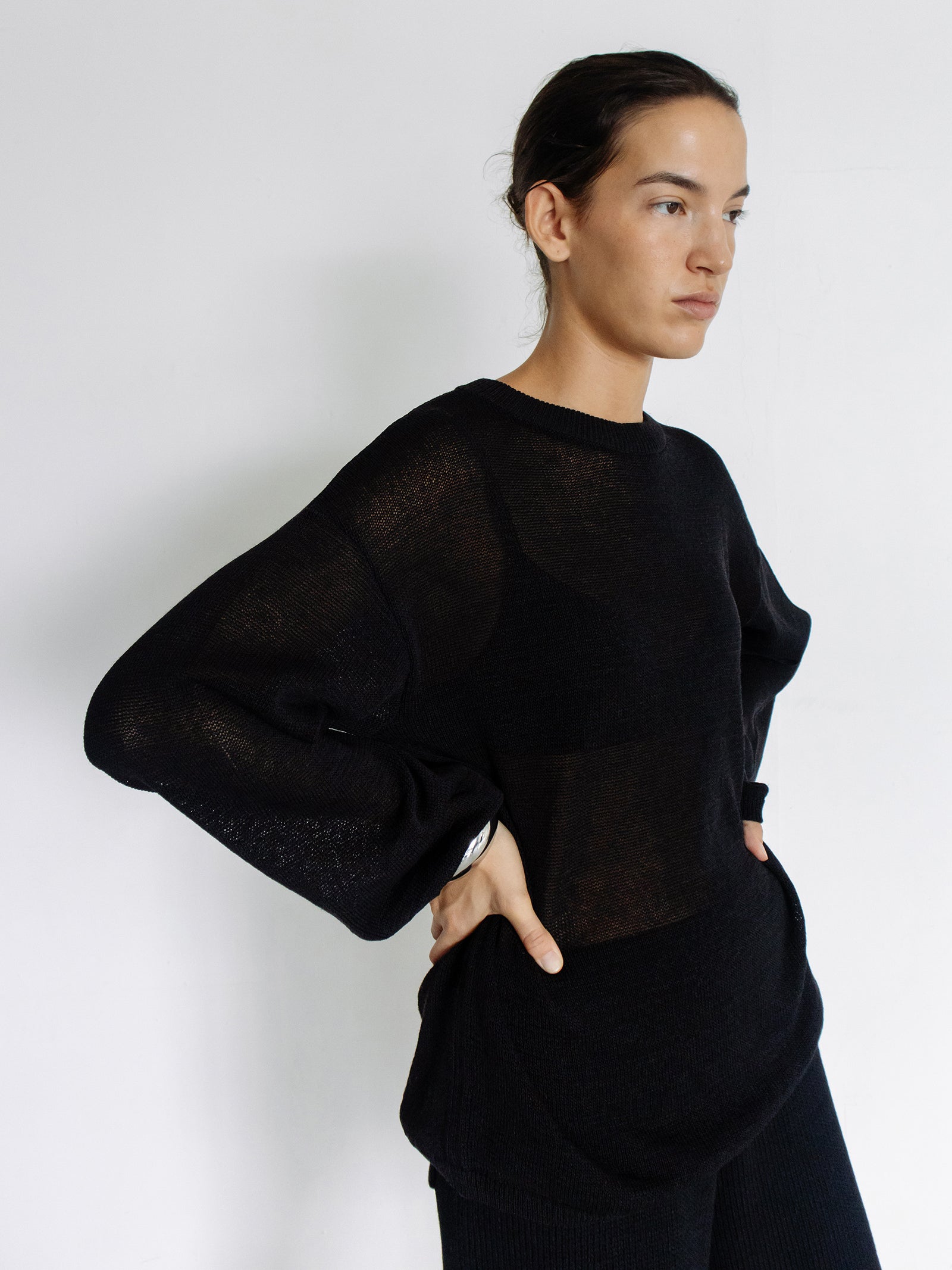 Sheer Round Pullover Black