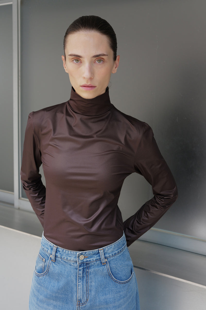 Metallic Turtleneck Top Brown