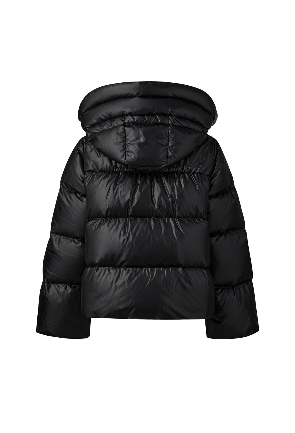 Signature P Goose Down Black