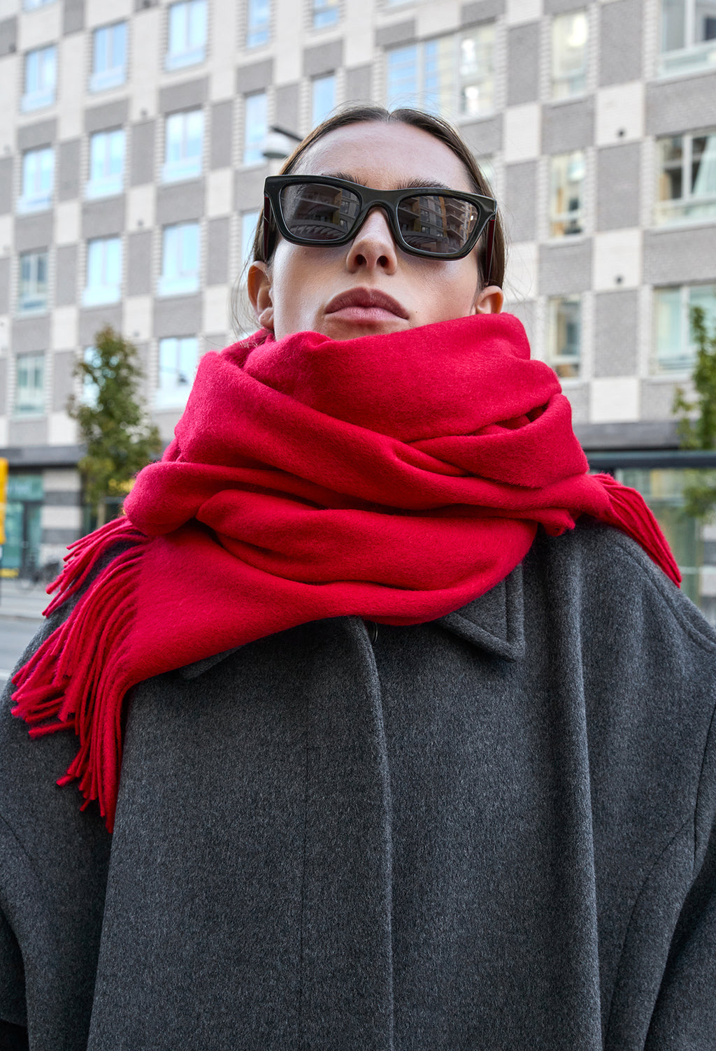 Lambswool Fringe Muffler Red