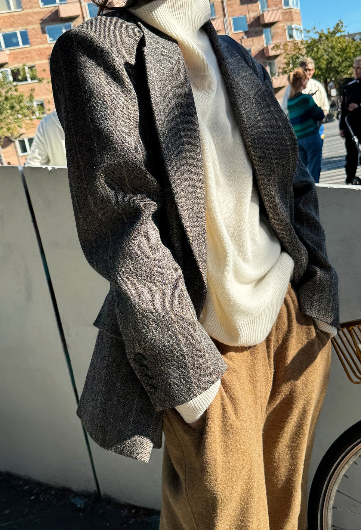 Wool Exhaust Pants Brown