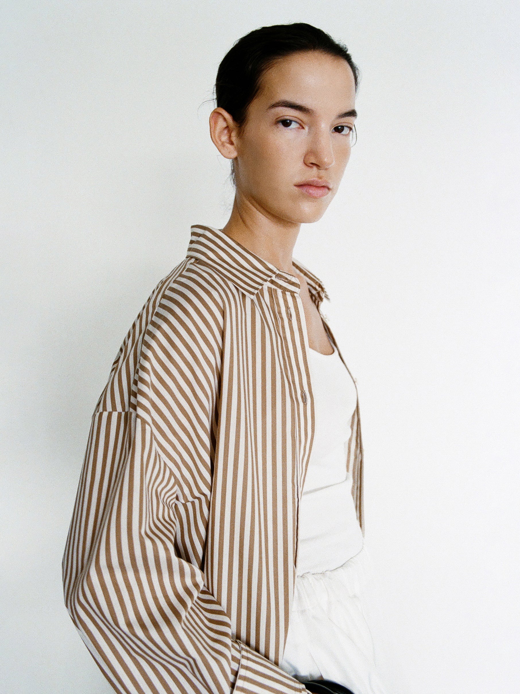 Chestnut Stripe Shirt